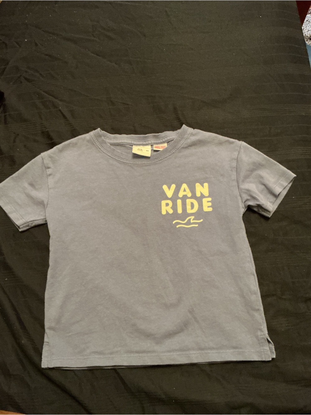 Zara Gray-Blue Kids 'Van Ride' Graphic Tee